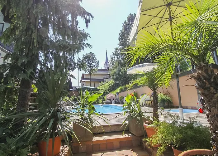 호텔 Metzgerwirt 3*